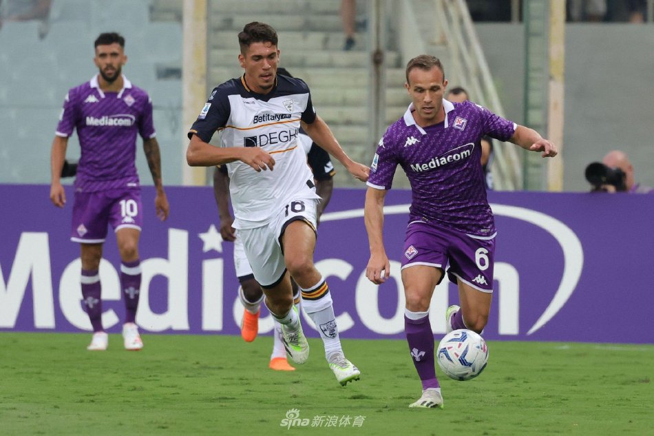 术布置造成 术布置造成